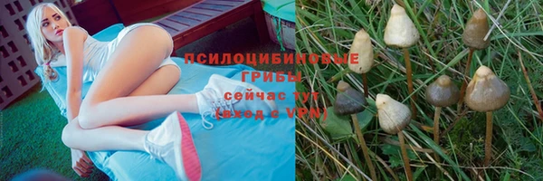 кокаин премиум Зеленокумск